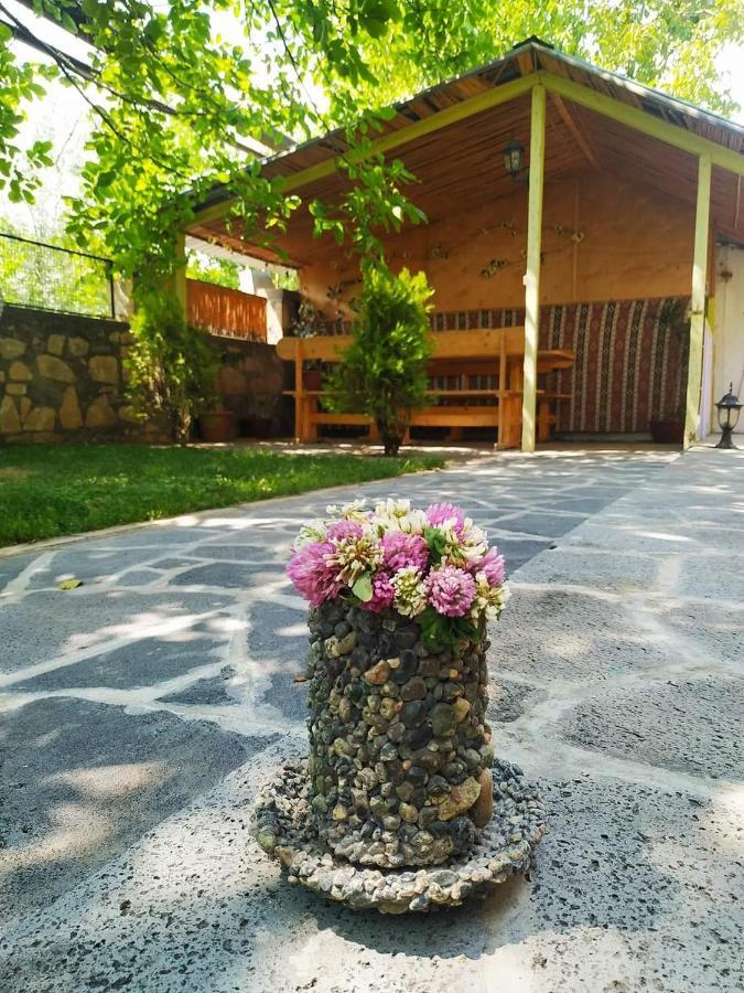 Guest House Nataly Yeghegnadzor Εξωτερικό φωτογραφία