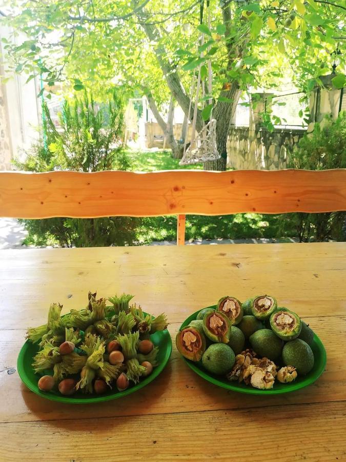 Guest House Nataly Yeghegnadzor Εξωτερικό φωτογραφία